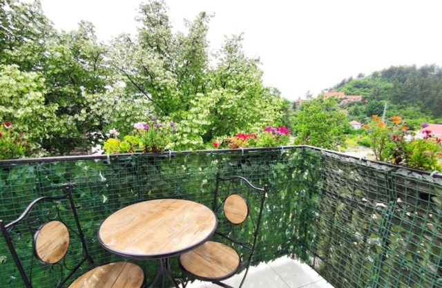 Heritage Haven Luxurious Apartment in City Center