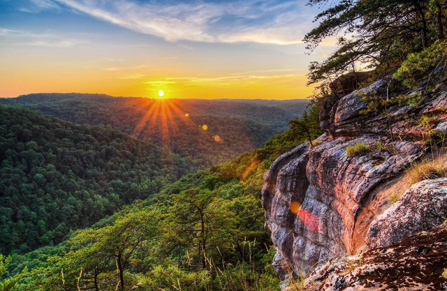 Hidden Cove | On Douglas Lake, Wraparound Porch