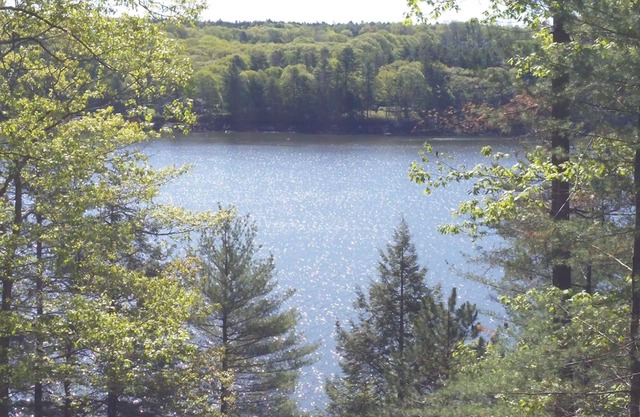 Hidden Gem on Westport Island