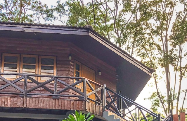 Hidden Treehouse in KhaoYai!