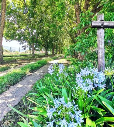 Hill Billys Selfcatering