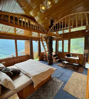 Himalayan Quails Nest Treehouse