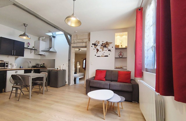 Historic center of Amboise, renovated apartment with free private parking