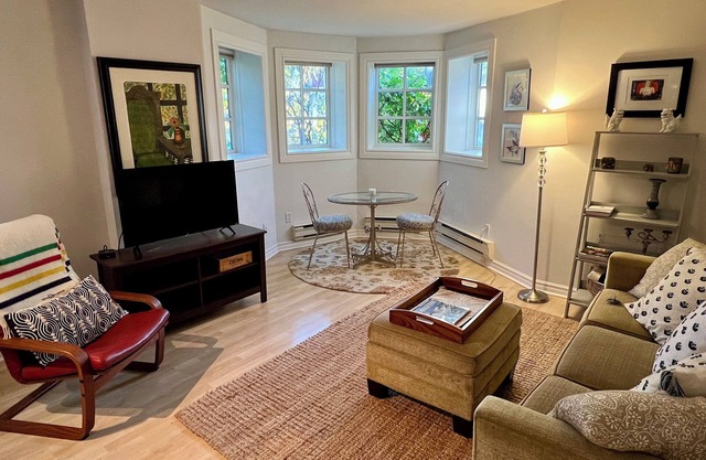 Historic Downtown Apartment