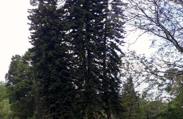 Historic site just minutes from beaches