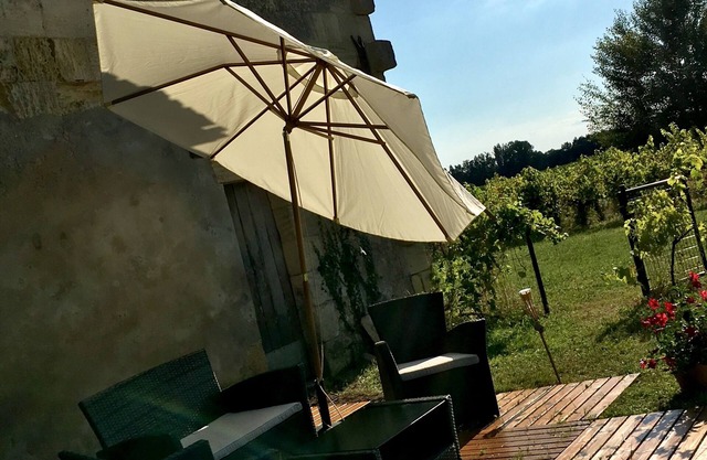 Historic Villa with vineyard views on Saint Emilion