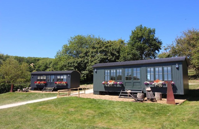 Hog Deer Creek - At Port Lympne Reserve