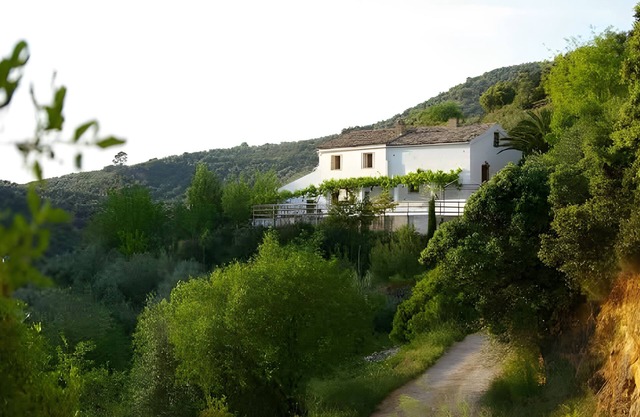 Holiday Home 'Finca Rústica La Pájara' with Mountain View, Pool and Wi-Fi