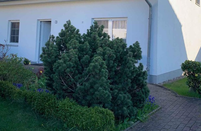 Holiday apartment with garden, directly in crane's staging area