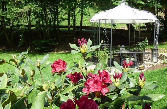 Holiday apartment Alf for 1 - 4 persons with 1 bedroom - Holiday apartment