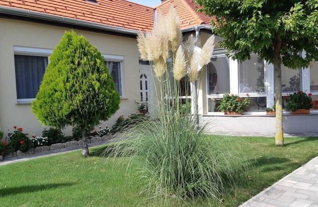 Holiday apartment Bük for 1 - 2 persons with 1 bedroom - Holiday apartment