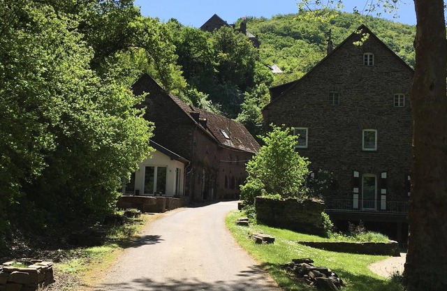 Holiday apartment Burg Treis in the Wildburgmühle
