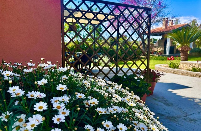 Holiday apartment Leventochori for 1 - 4 persons with 1 bedroom - Holiday house