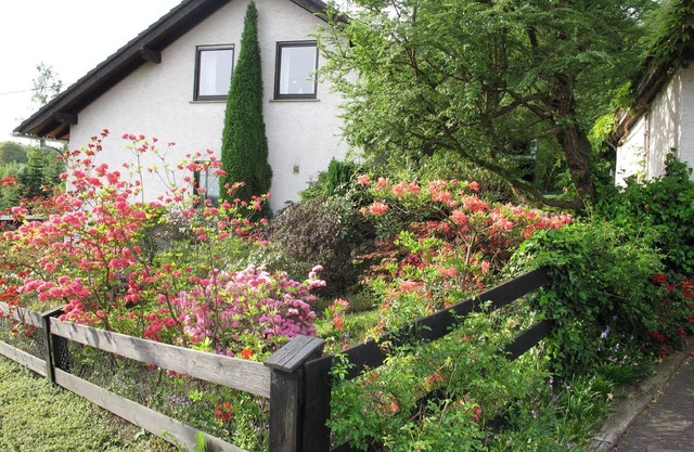 Holiday apartment Hachenburg for 1 - 3 persons with 2 bedrooms - Holiday house