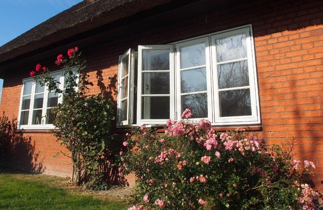 Holiday apartment Ockholm for 1 - 4 persons with 2 bedrooms - Holiday apartment in one or multi-fami