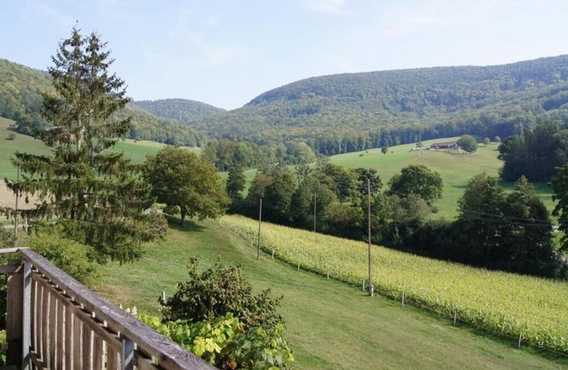 Holiday apartment Schleitheim for 2 - 4 persons with 1 bedroom - Holiday house