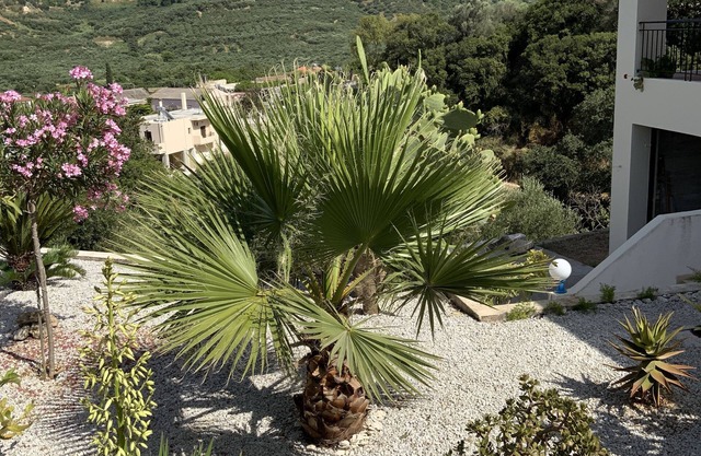 Holiday house in a quiet, close to the sea, away from the hustle and bustle.