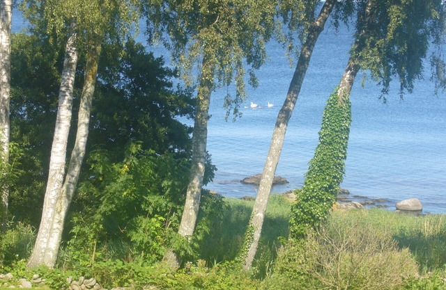 Holiday house with a wonderful view of the sea and a large garden, free WiFi