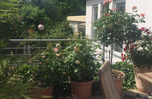 Holiday Home 'Haus Rosengarten' with Private Terrace, Private Garden and Wi-Fi