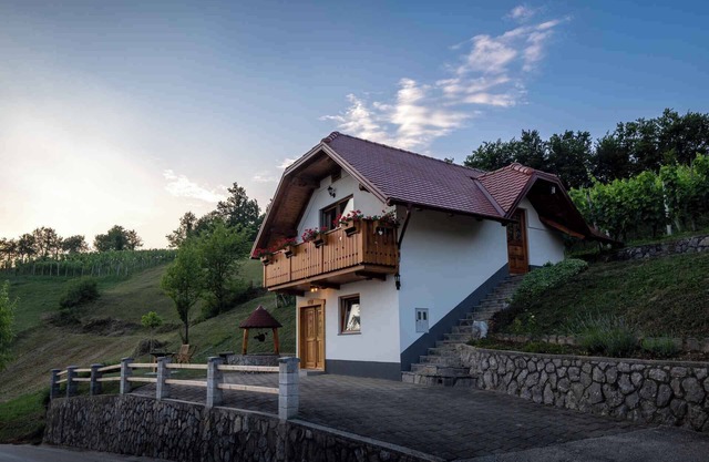 Holiday home on the vineyard hill near Trebnje
