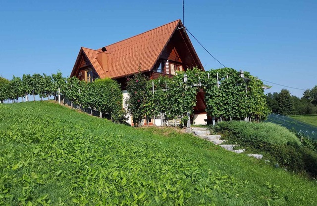 Holiday home on vineyard