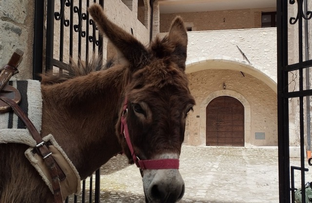 Holiday home “Orso” - Spacious apartment in a historic palazzo