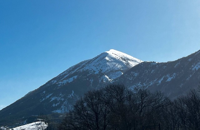 Holiday Home 'Petit Chalet' with Mountain View, Private Terrace and Private Garden