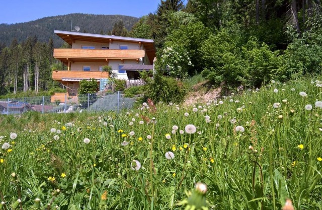 Holiday Home Zillertal - Haus Gigl