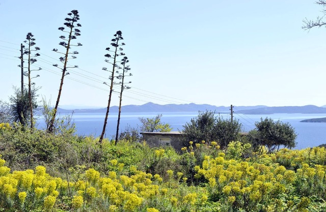 Holiday house Dragove for 1 - 6 persons with 3 bedrooms - Twin house