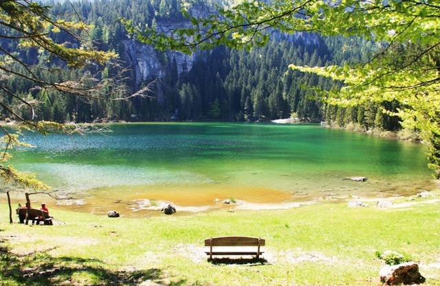 HOLIDAY HOUSE IRIS, Trentino, Val di Non, relaxing holiday in contact with nature