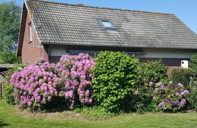 Ferienhaus Jade Für Personen 