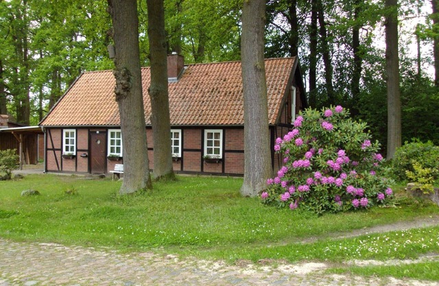 Holiday house Thomasburg for 1 - 6 persons with 4 bedrooms - Holiday home