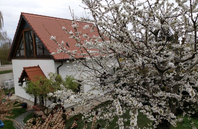 Holiday house To the old driving school