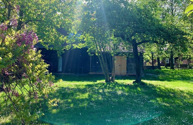 Holiday in Lehde - access to Fliess - idyllic land