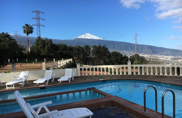 Holiday Paradise Nature Horse 