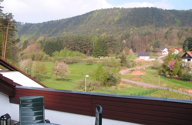 Holiday Waldblick Schwanheim with large terrace and stunning views