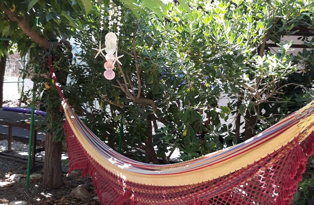 Holiday ' zen ' canet beach in Roussillon (66)