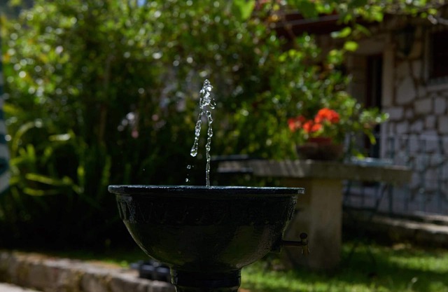 Holidays in a rural setting - Casa dos Bebados 2
