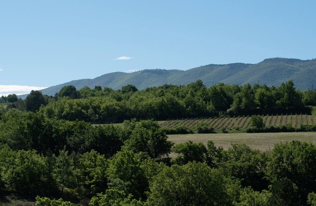 Holidays in Caseneuve in a vineyard