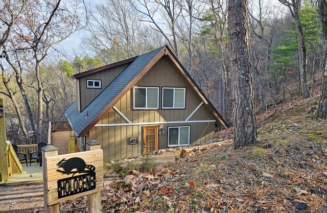 Holocene Chalet - treetop mountain views!