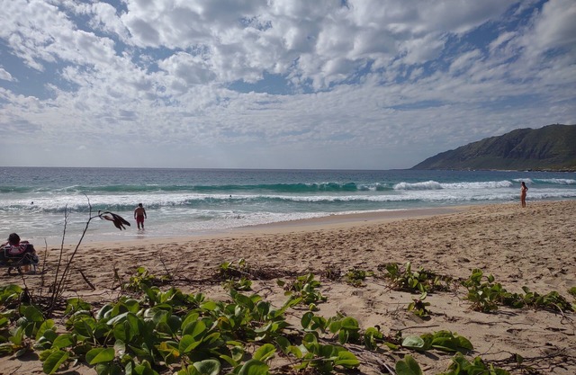 Home away from home across the street of a beautiful Hawaii Beach!