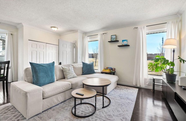 Home Away From Home » Pet Friendly » Work Space