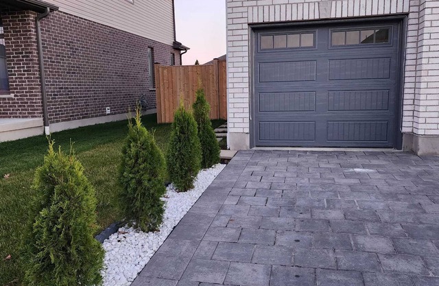 Homely, cozy, spacious quiet basement apartment in a lovely neighborhood.