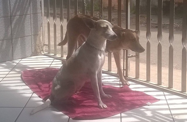 Homemade food and good neighborhood