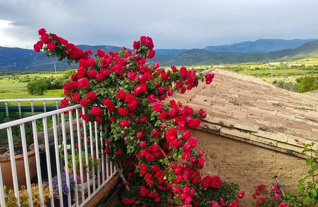Homerez - Big chalet for 11 ppl. with shared pool and terrace at Sieso de Huesca
