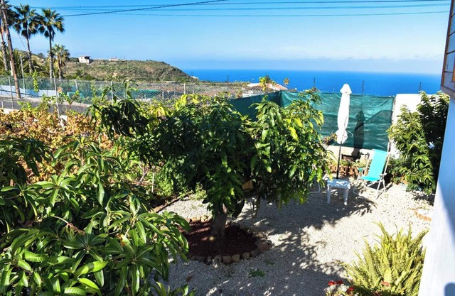 Homerez - House - Icod de los Vinos