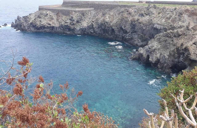 Homerez - Studio Playa San Marcos