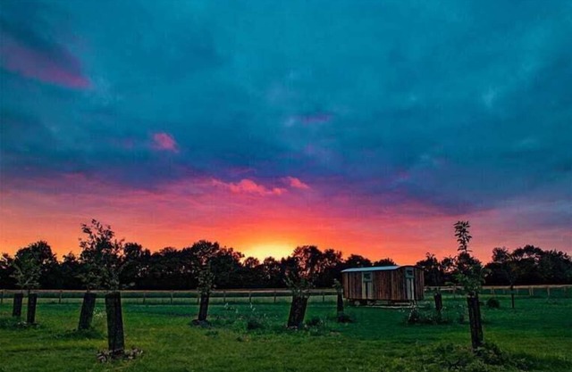 Honeysuckle Farm Hut 3 - Suffolk Farm Holidays