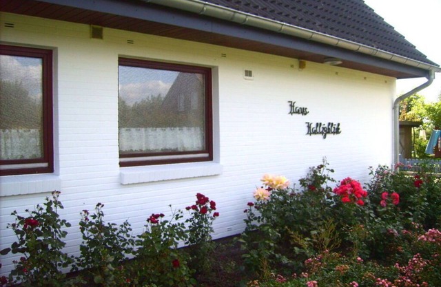 Hooge in the Haus Halligblick