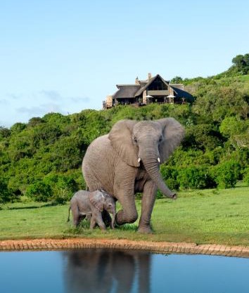 Hopewell Private Game Reserve